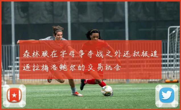 森林狼在字母争夺战之外还积极追逐拉梅洛鲍尔的交易机会