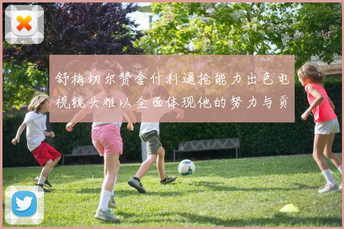 舒梅切尔赞舍什科逼抢能力出色电视镜头难以全面体现他的努力与贡献