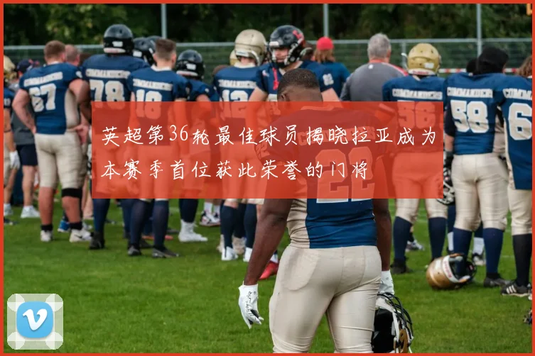 英超第36轮最佳球员揭晓拉亚成为本赛季首位获此荣誉的门将